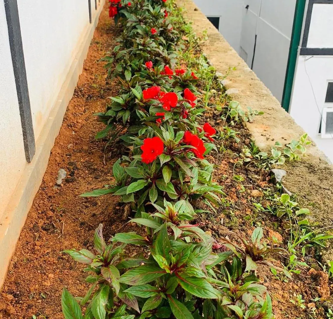 Lilys Nuwaraeliya Hotel Nuwara Eliya