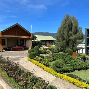Tea Bush *** Nuwara Eliya